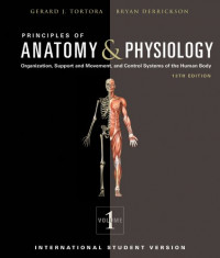 Image of Principles of Anatomy & Physiology Vol. 1