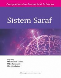 Image of Sistem Saraf