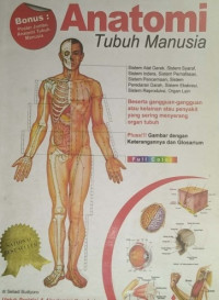 Image of Anatomi Tubuh Manusia
