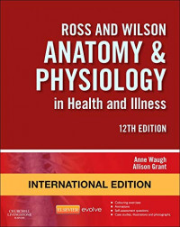 Image of Anatomy & Physiology in Health and Illness